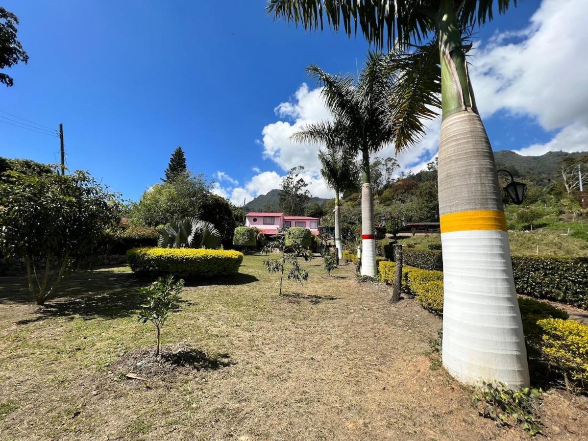 Campestre Palmas 101