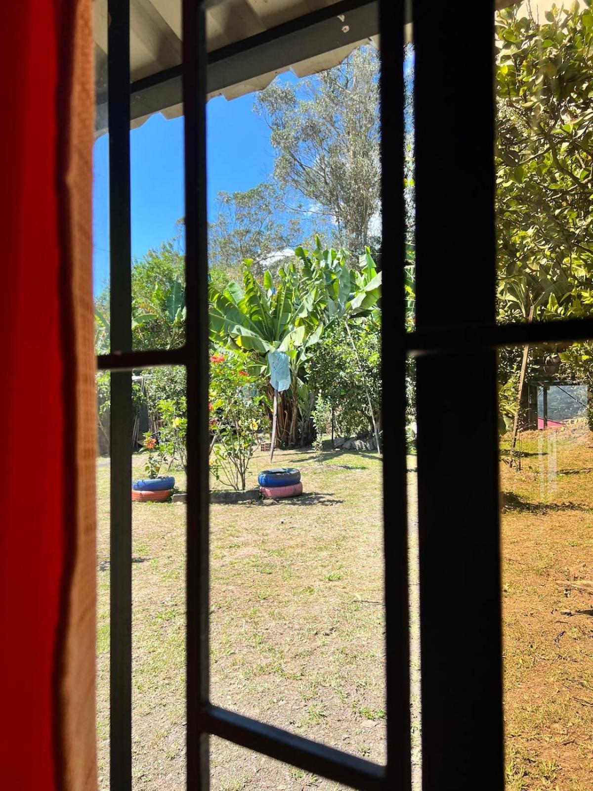 Campestre Palmas 101 Camping