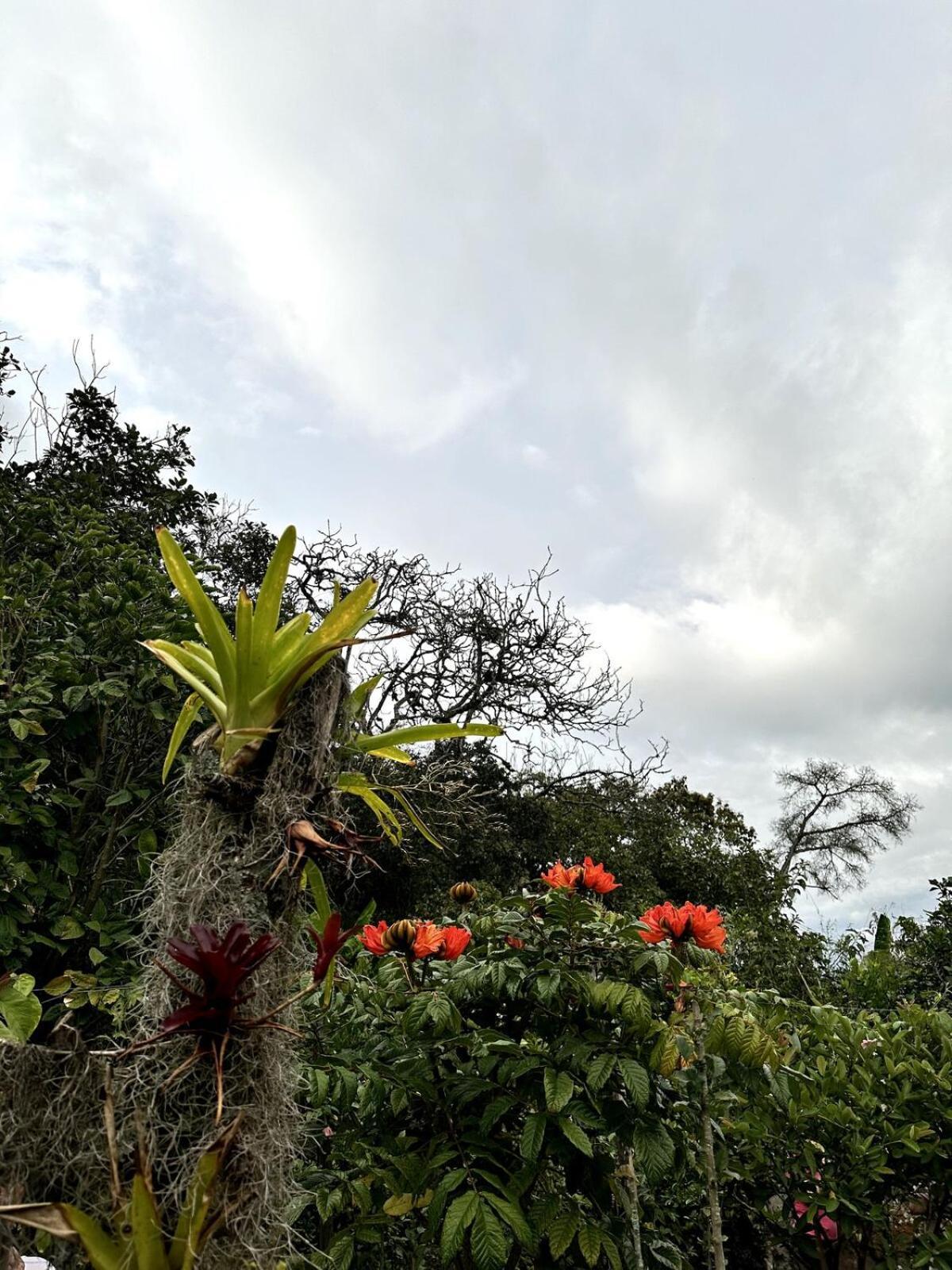 Campestre Palmas 101 Choachí