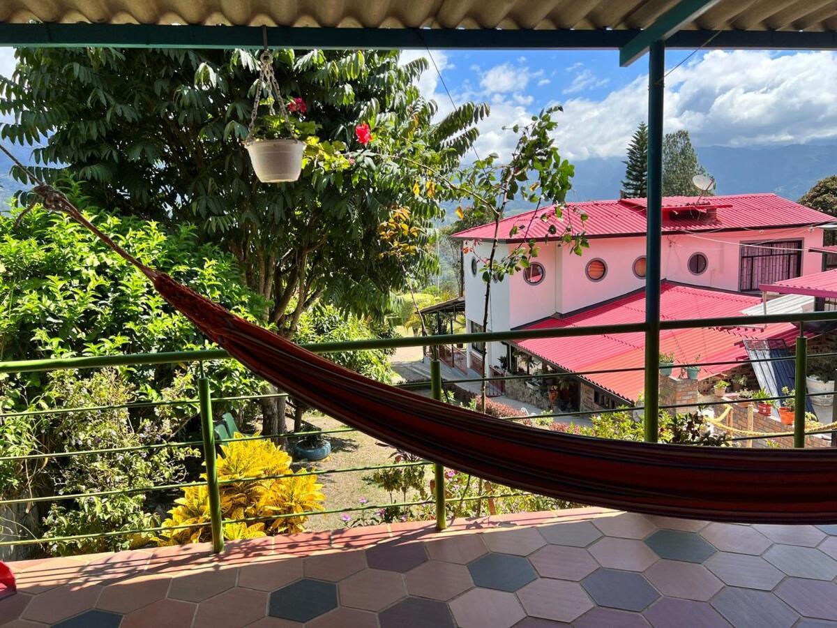 Campestre Palmas 101 Camping