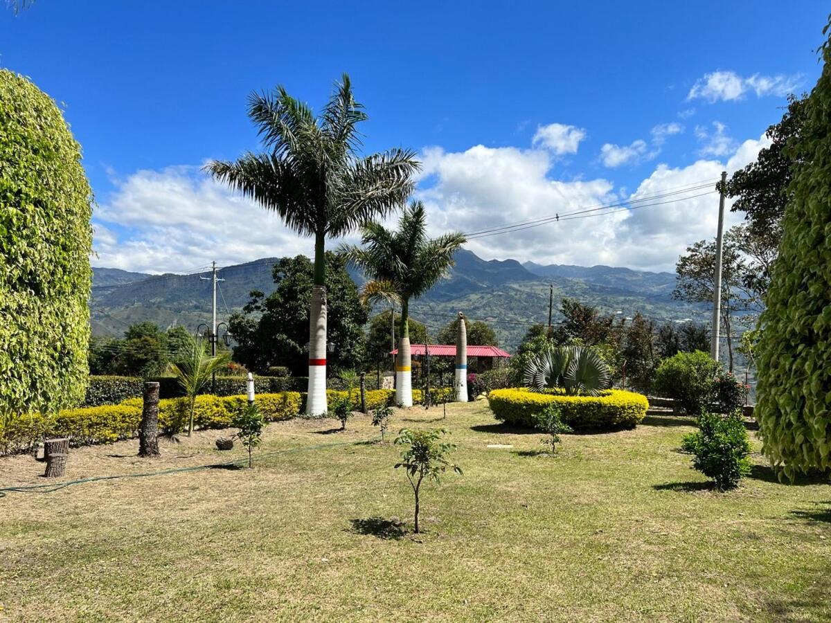 Campestre Palmas 101 *