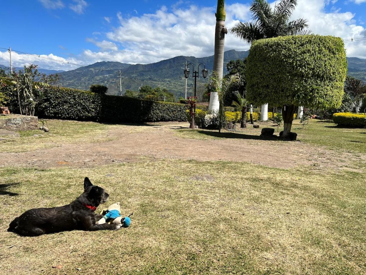 Campestre Palmas 101